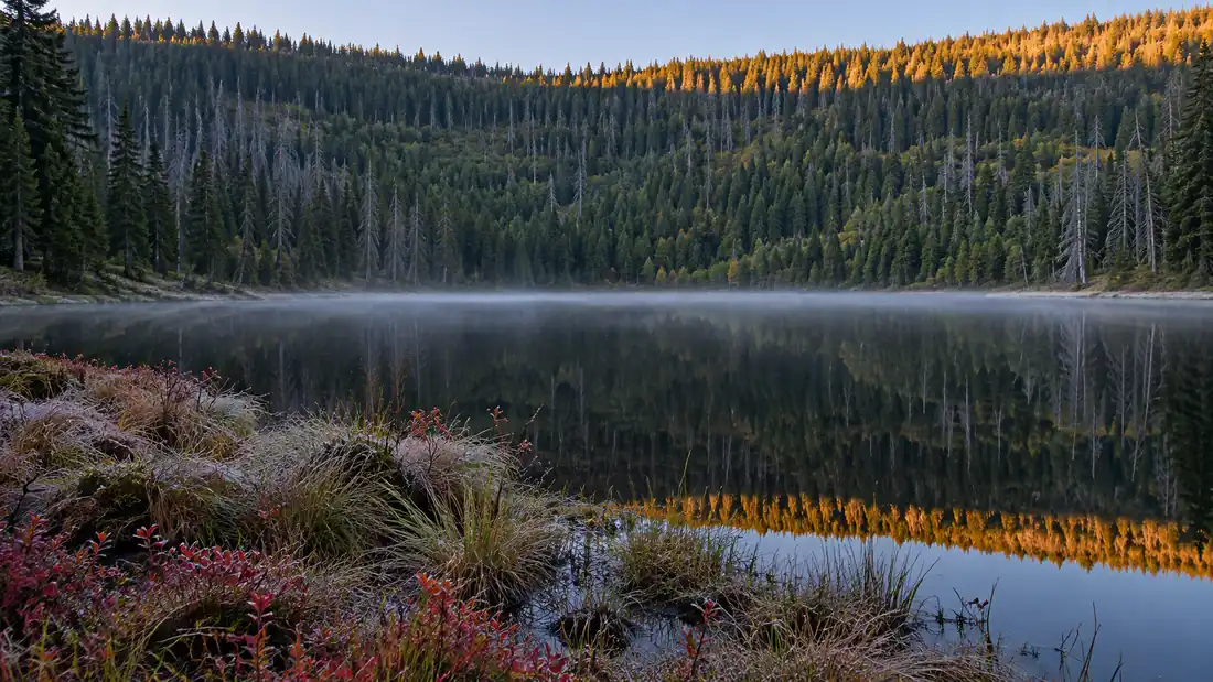 Ranní mlha nad hladinou karového jezera, ve které se zrcadlí zalesněná stěna